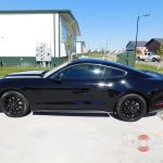 Ford Mustang Tint