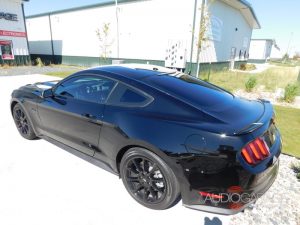 Ford Mustang Tint