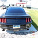 Ford Mustang Tint