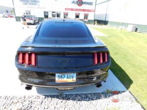 Ford Mustang Tint