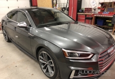 Audi S5 Sportback Window Tint