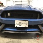 Shelby Protection