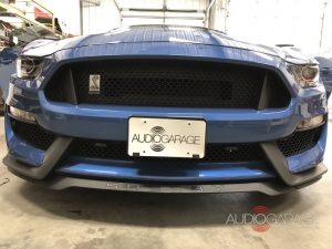 Shelby Protection